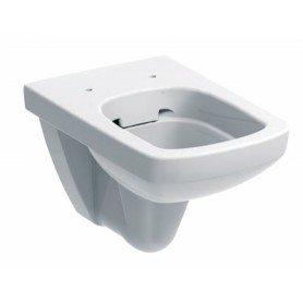 �������� ������ � ������������ 3 � 1 Geberit Selnova Square 458.121.SE.1