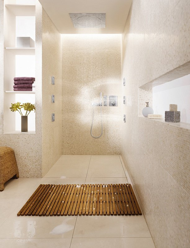 ������� ��� Grohe Rainshower F 27251000