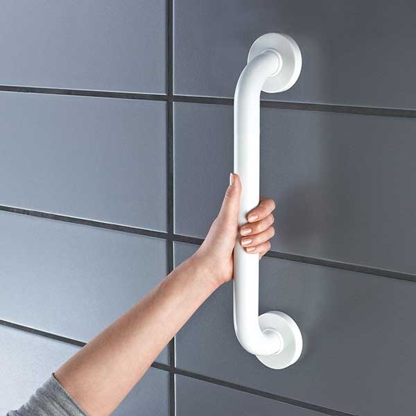 �������� Ridder Assistent �00160101 60 ��