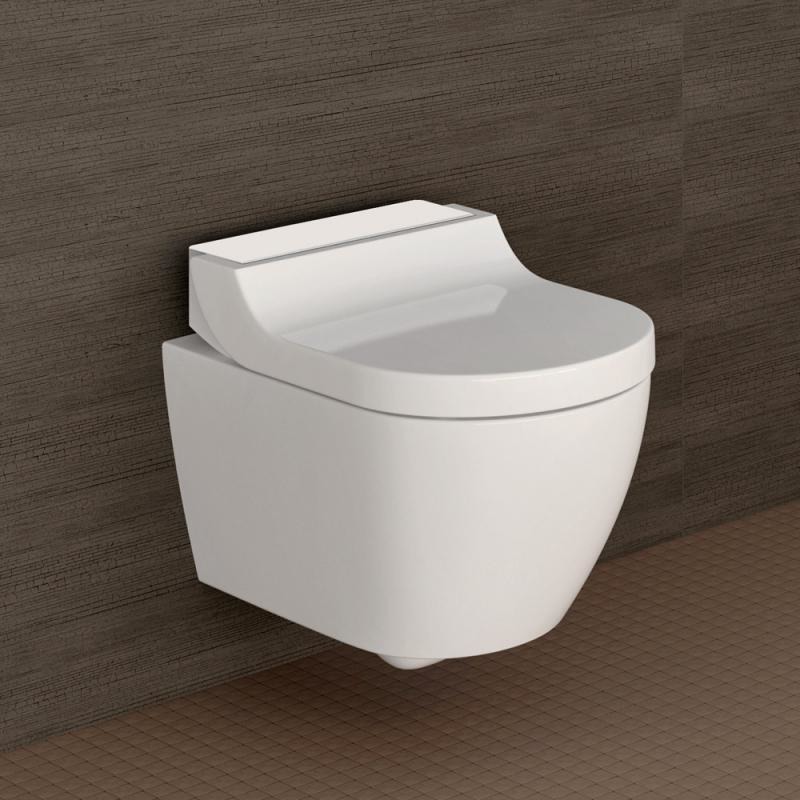 �������� ������ � ������-���� GEBERIT AquaClean Tuma Comfort 146.294.SI.1 (������ ����� ������)