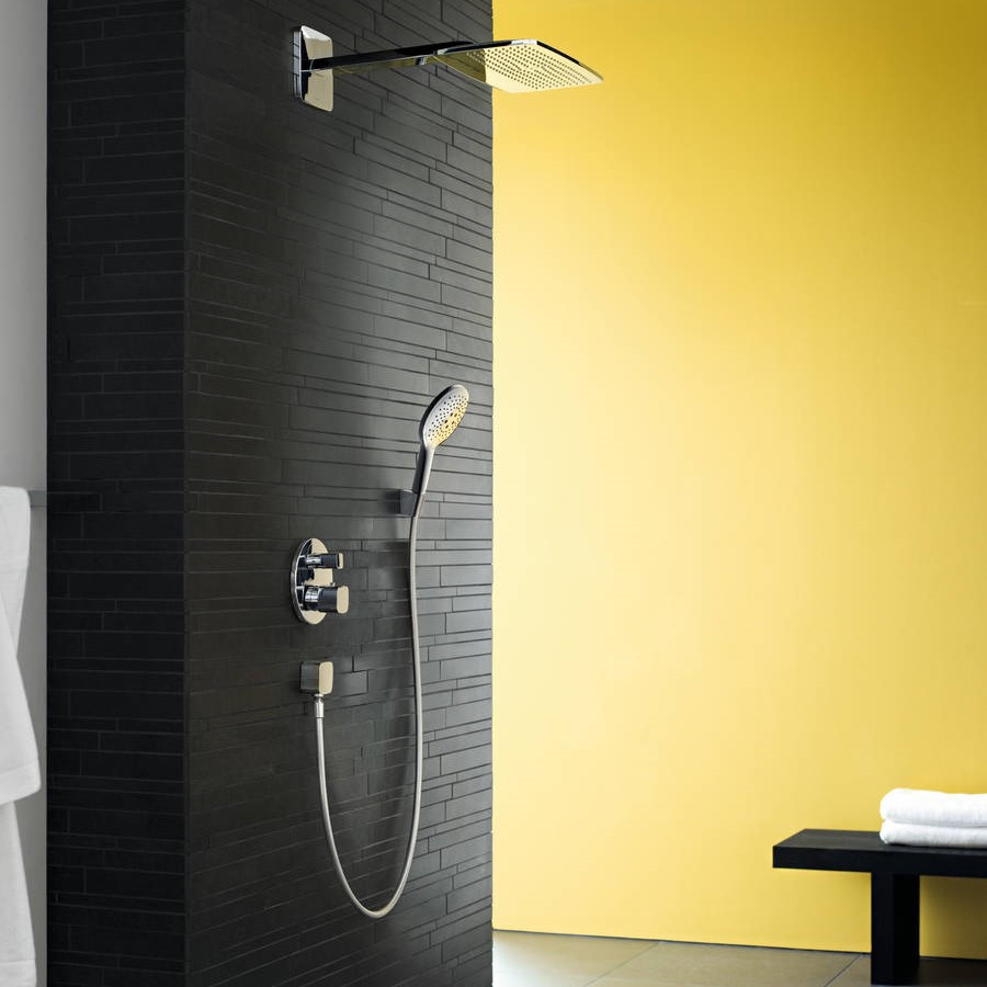 ������ ��� Hansgrohe Raindance Select 150 ���� 28587000