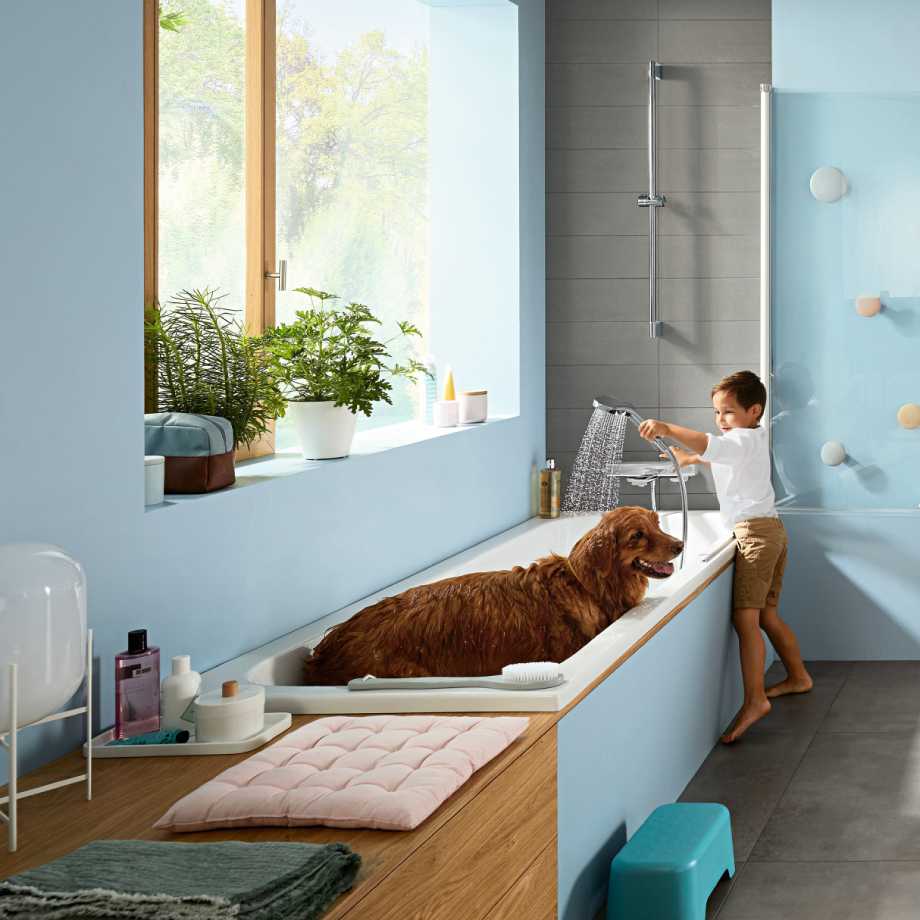 ��������� ��� ����� Hansgrohe Ecostat E 15774000